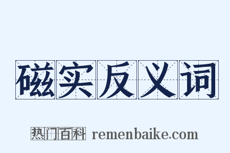 磁实反义词是什么意思的图片